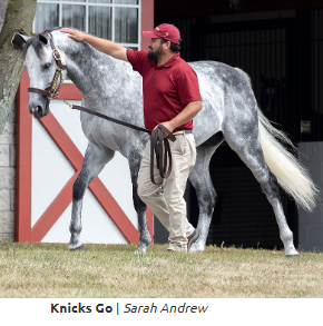 Stable Recovery Spring Meet Gala Saturday
